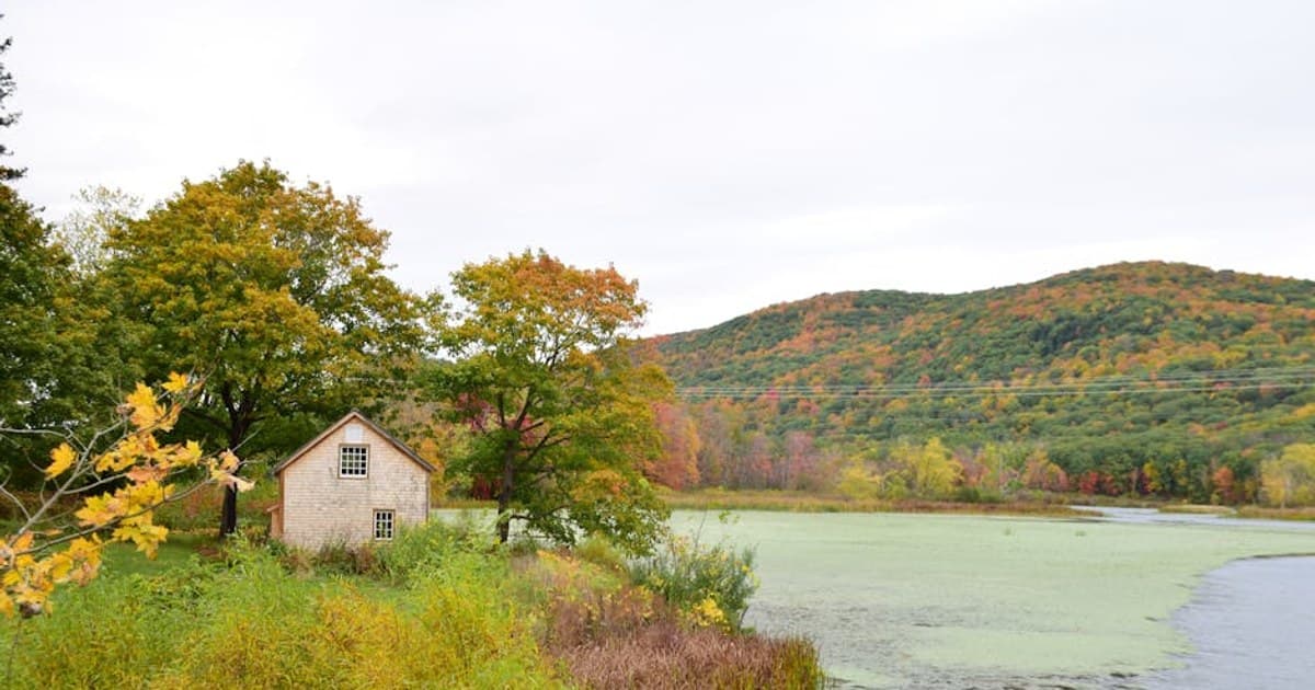 Cannabis for Chronic Pain: What the Science Says