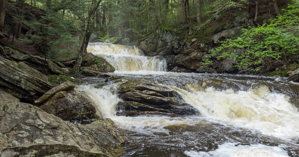 Cannabis for Anxiety: Does It Help or Make It Worse?