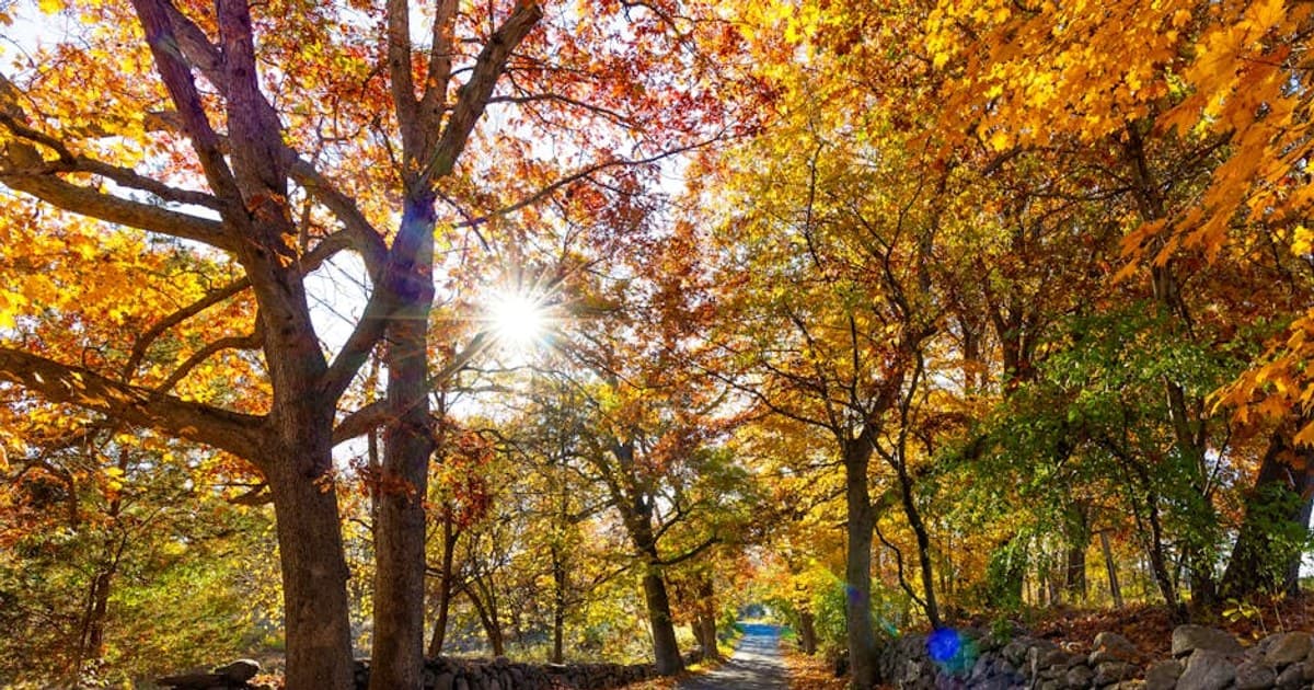 How Long Does a Cannabis High Last? Factors That Affect Duration