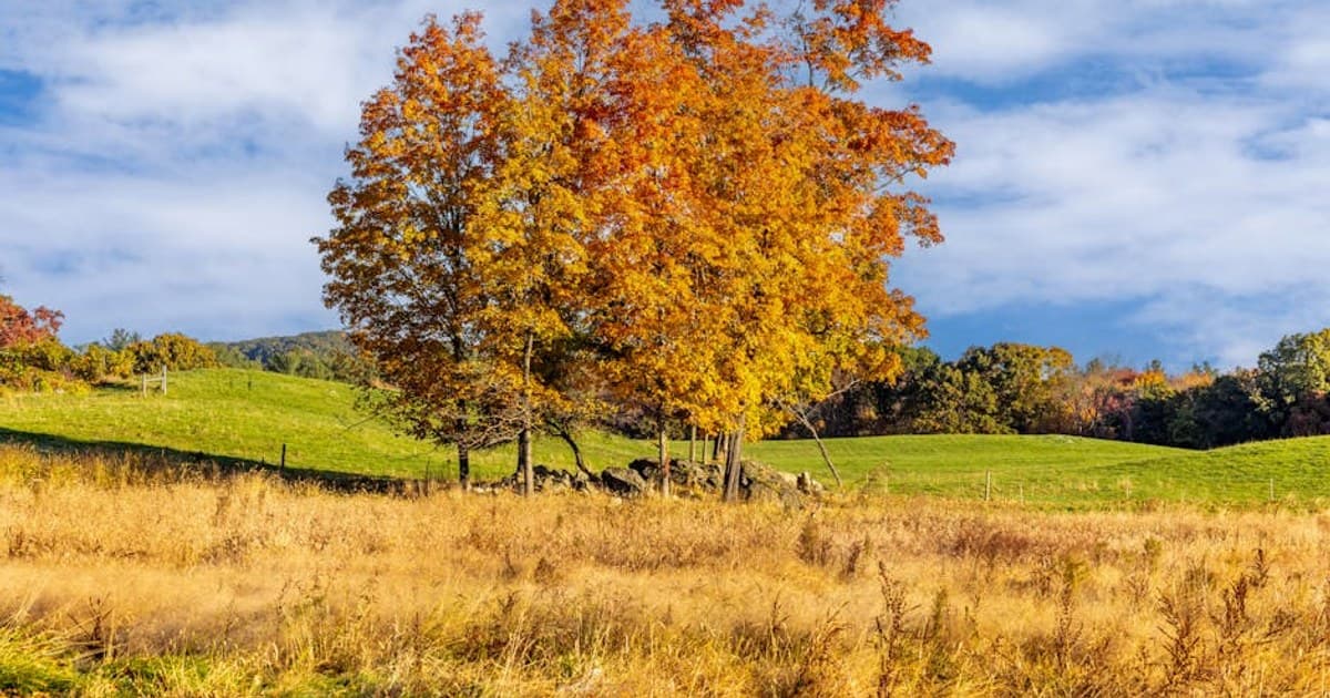 Microdosing Cannabis: What It Is and Why People Do It