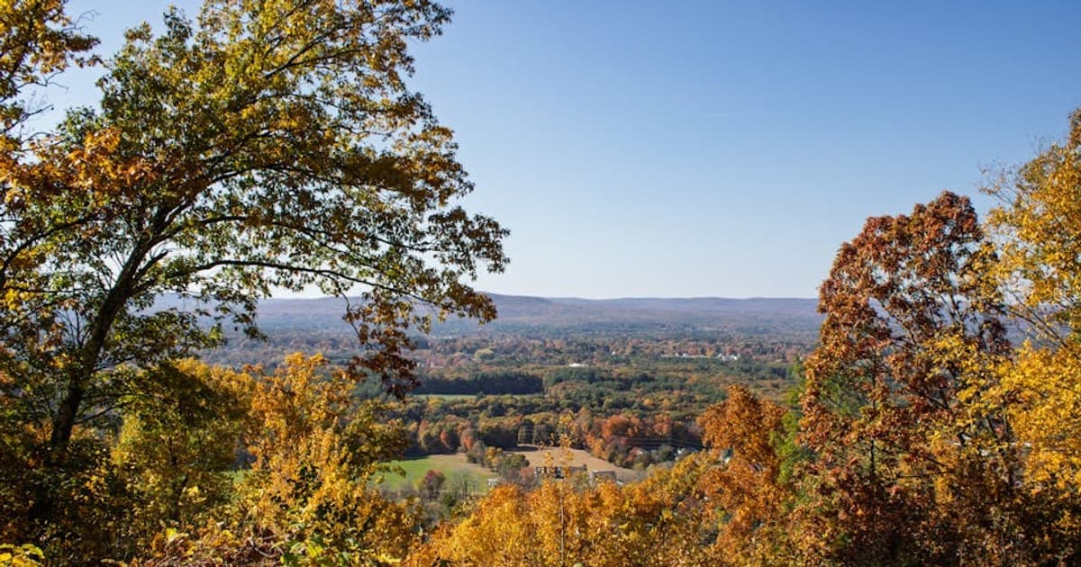 Cannabis Dosing Guide: How Much Should You Take?