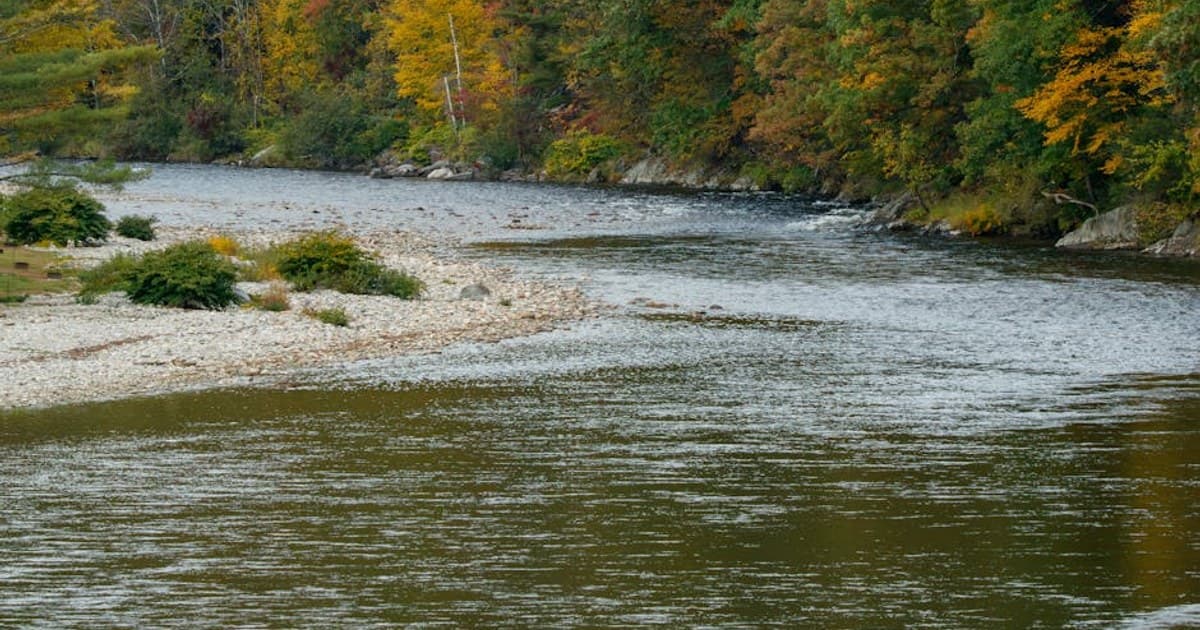 THC Beverages: The Rise of Cannabis-Infused Drinks