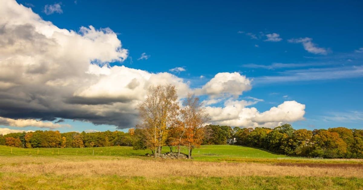 Edibles 101: How They Work, Dosing Tips, and What to Expect