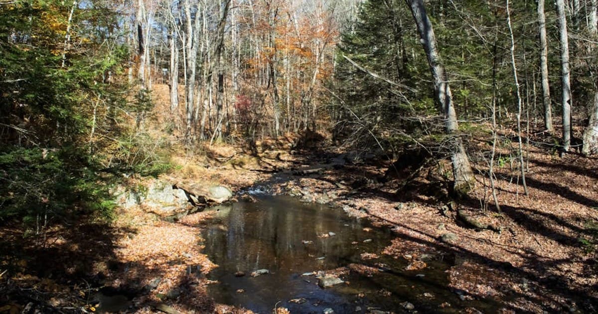 Cannabis Consumption Methods Compared: Smoking, Vaping, Edibles, and More