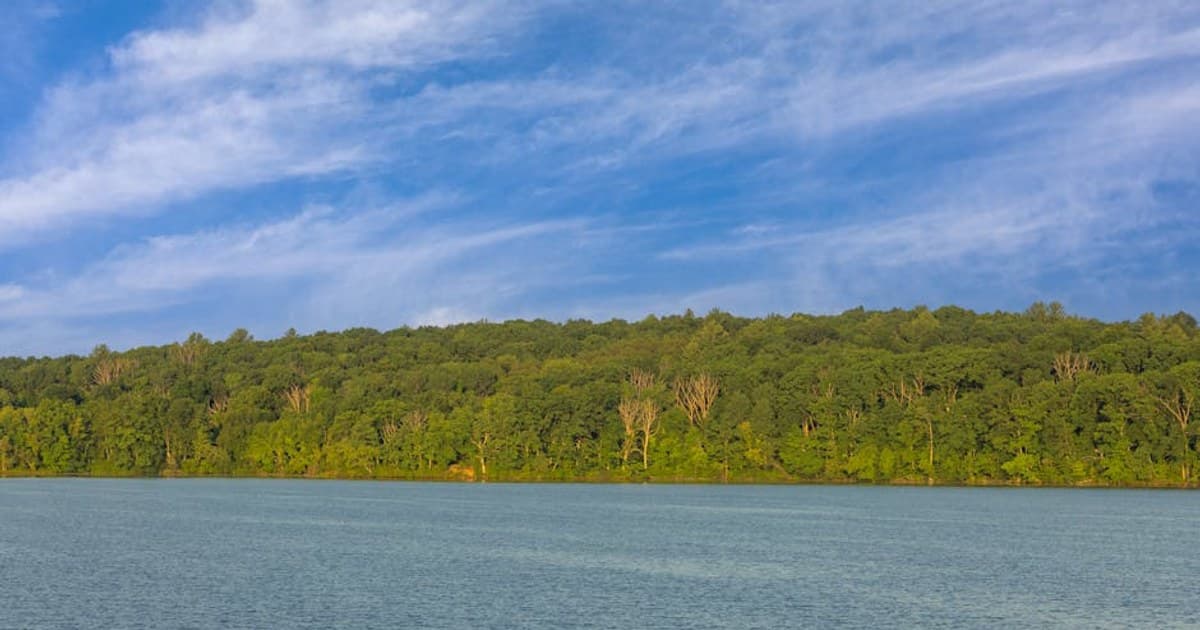 Cannabis for Beginners: What to Know Before Your First Time