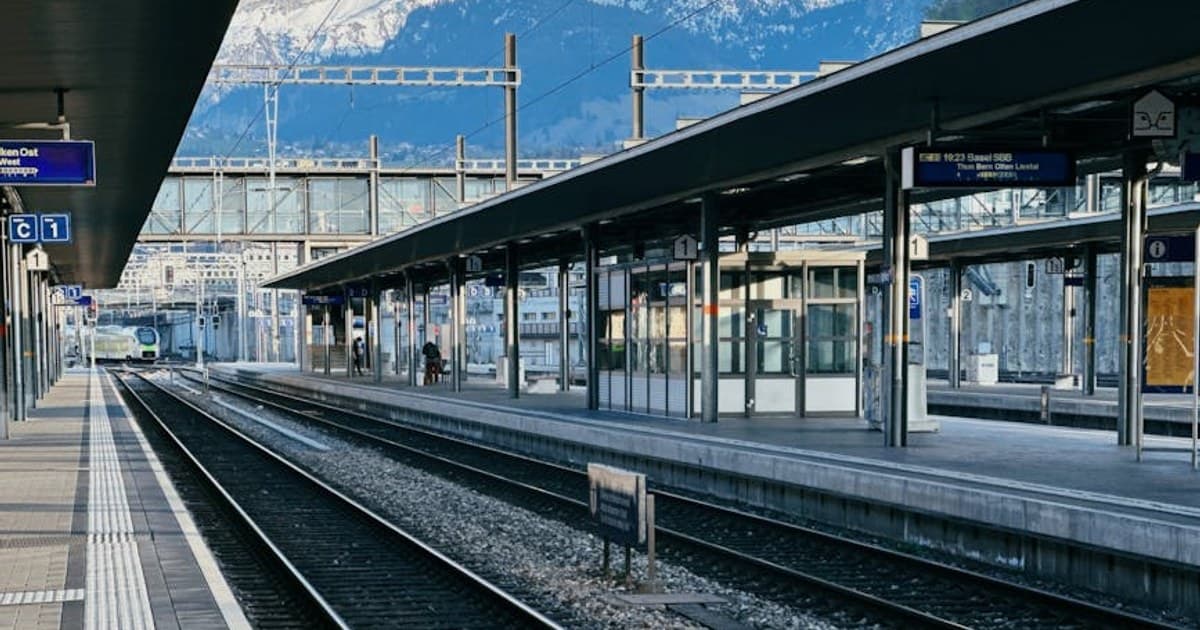 The Complete Guide to Cannabis Strains: How to Choose the Right One