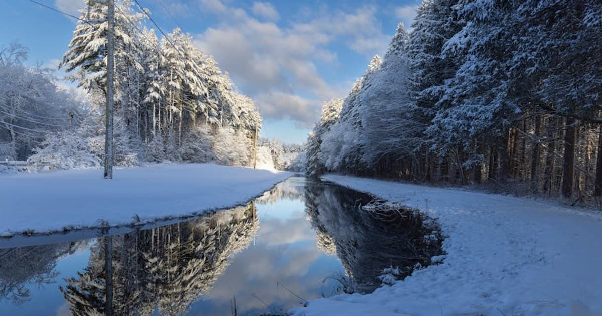 What Is Cannabis? A Complete Beginner's Guide