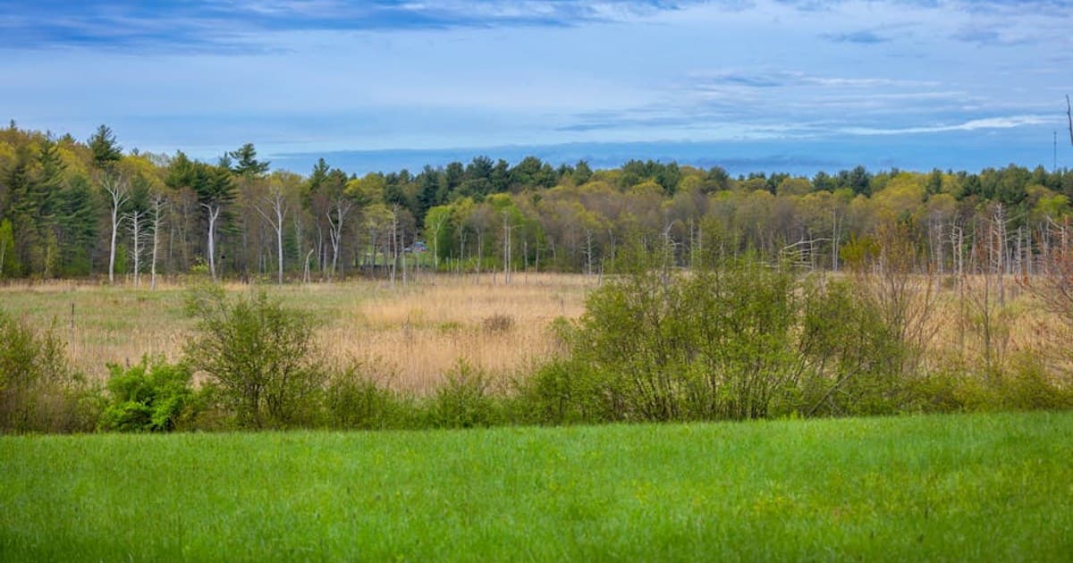 Cannabis-Infused Skincare: Does It Work?