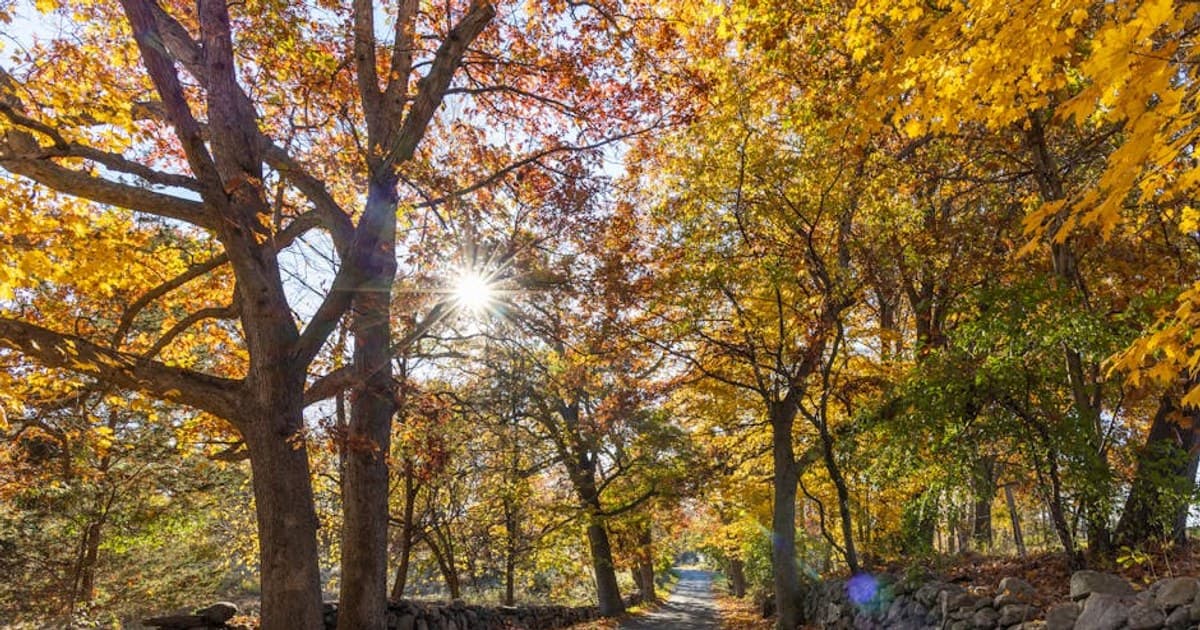 Cannabis Research: Breakthroughs and What Scientists Are Studying Now