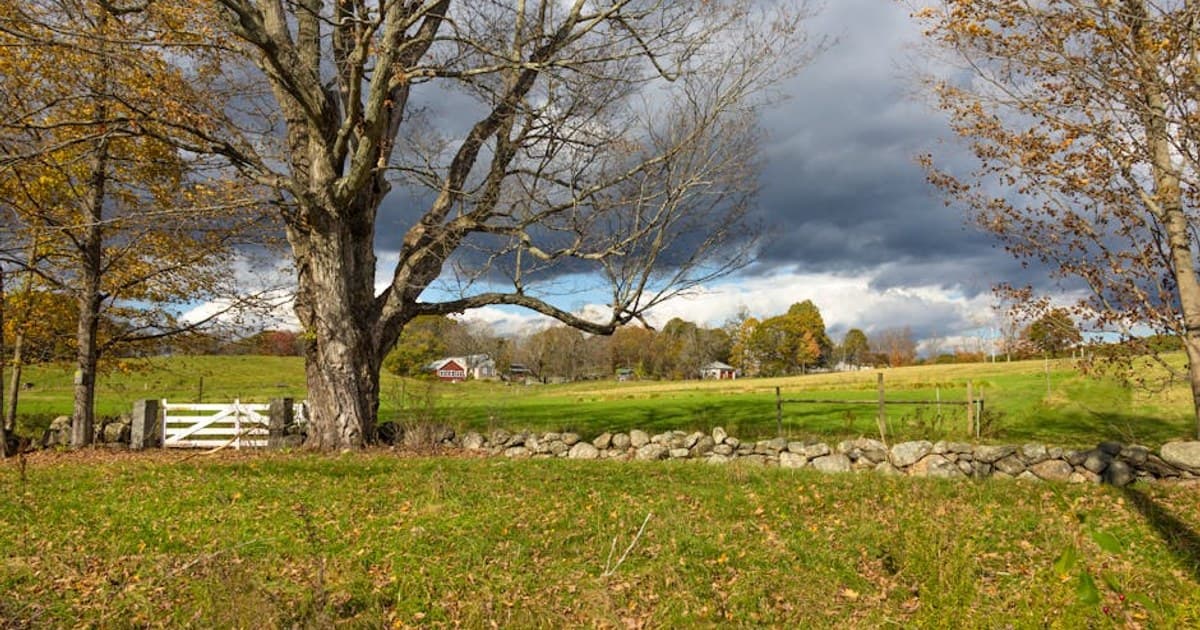 Personalized Cannabis: How Technology Is Tailoring the Experience