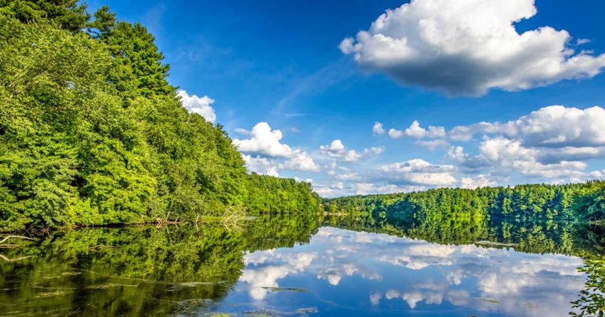 Cannabis Banking and the SAFE Act: Why It Matters for the Industry