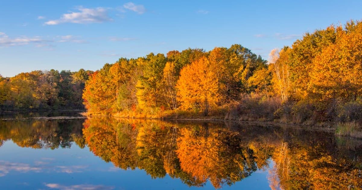 Cannabis Taxes Explained: How Much You're Really Paying and Why