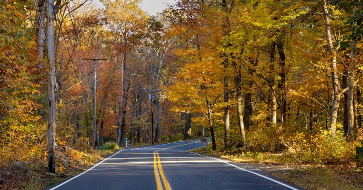 Cannabis Careers: Fast-Growing Jobs and How to Break Into the Industry