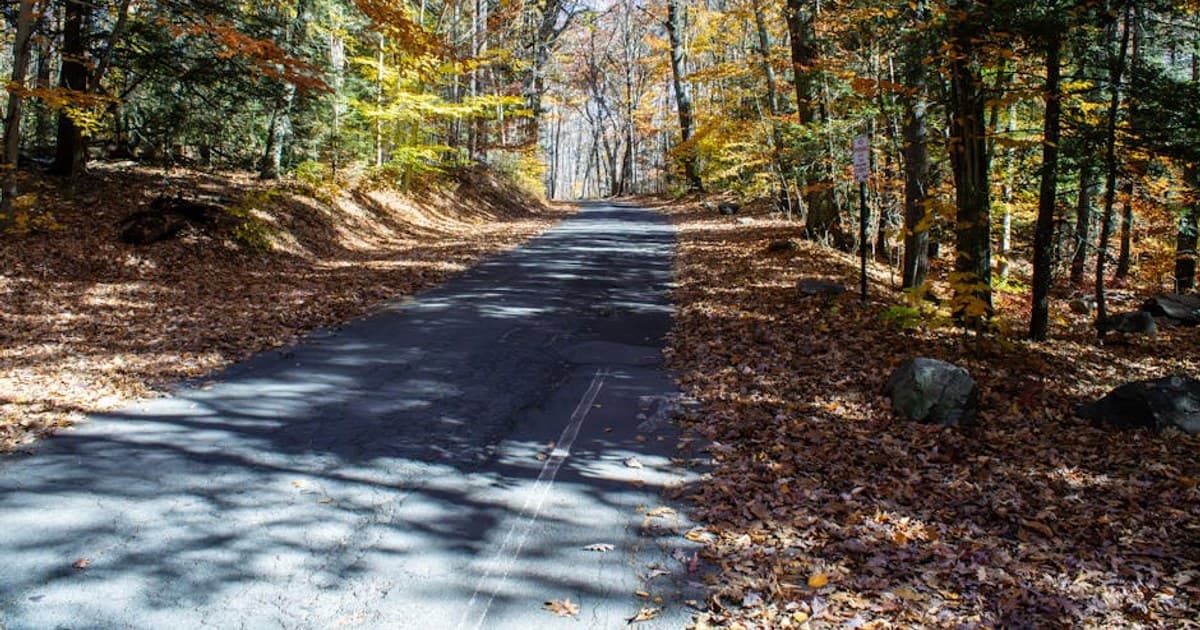 Cannabis and Sustainability: The Environmental Impact of the Industry