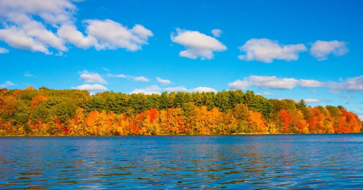 Cannabis Lab Testing: How Products Are Tested for Safety and Potency