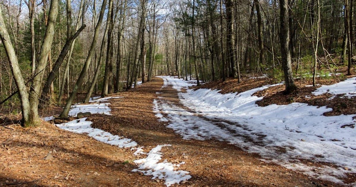 How to Clean Your Bong, Pipe, or Vaporizer: A Quick Maintenance Guide