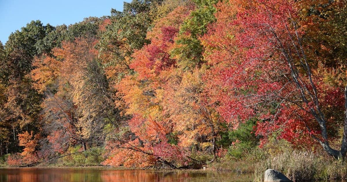 Decarboxylation Explained: Why You Need to Heat Cannabis Before Cooking