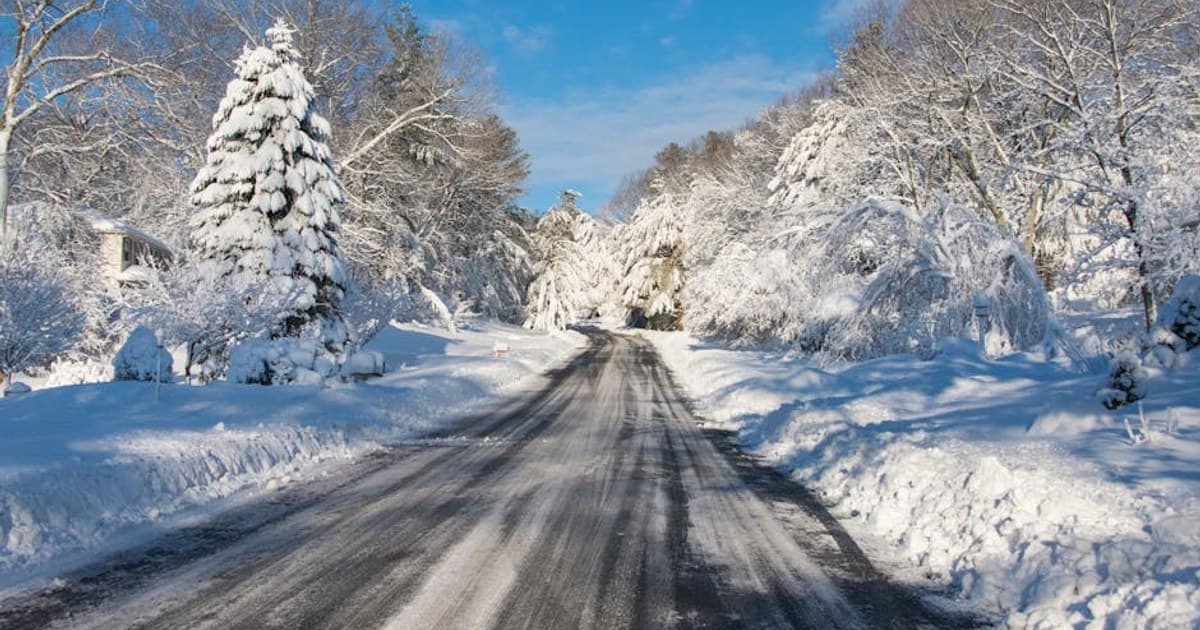 How to Store Cannabis Properly: Keep Your Flower Fresh Longer