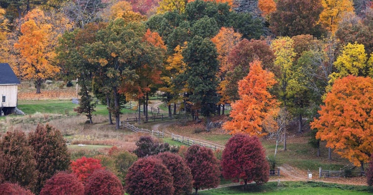 Indoor vs. Outdoor Cannabis Growing: Pros, Cons, and Key Differences