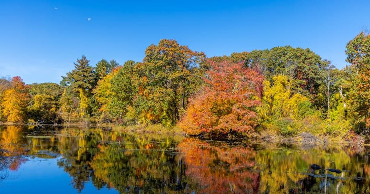 Cannabis and Opioid Reduction: What the Studies Show