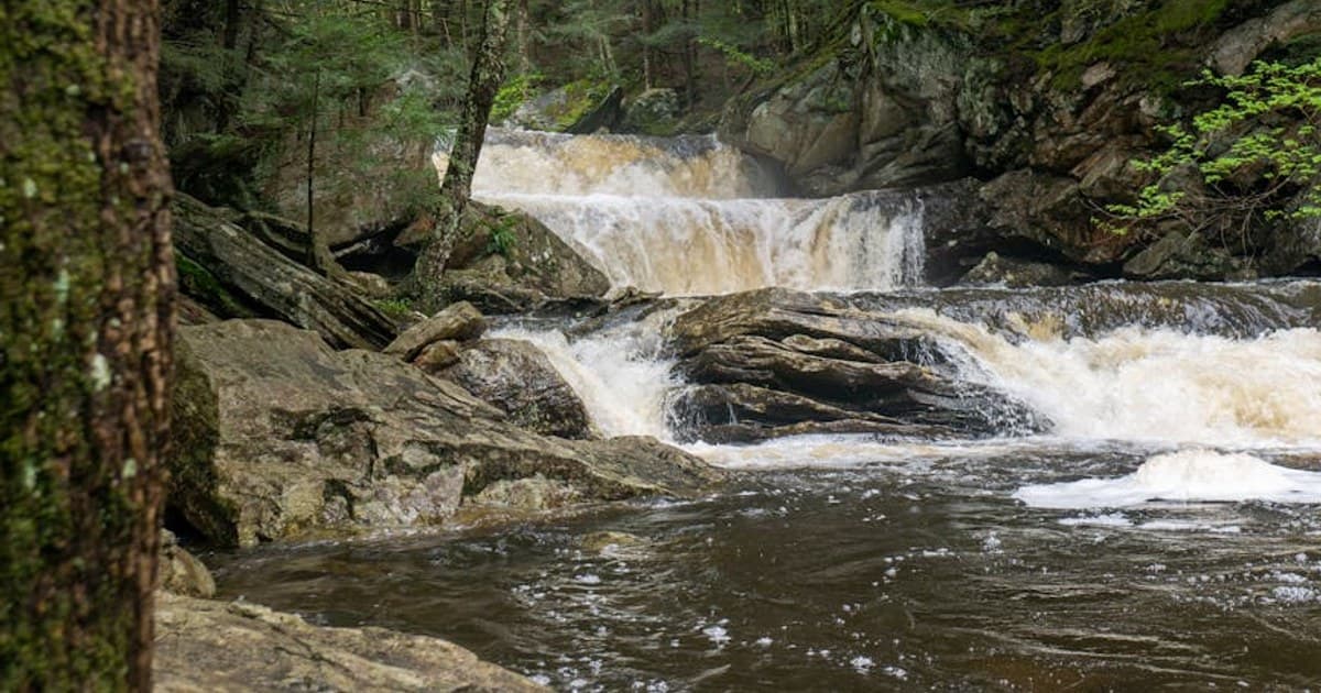 Medical vs. Recreational Cannabis: Is There Really a Difference?