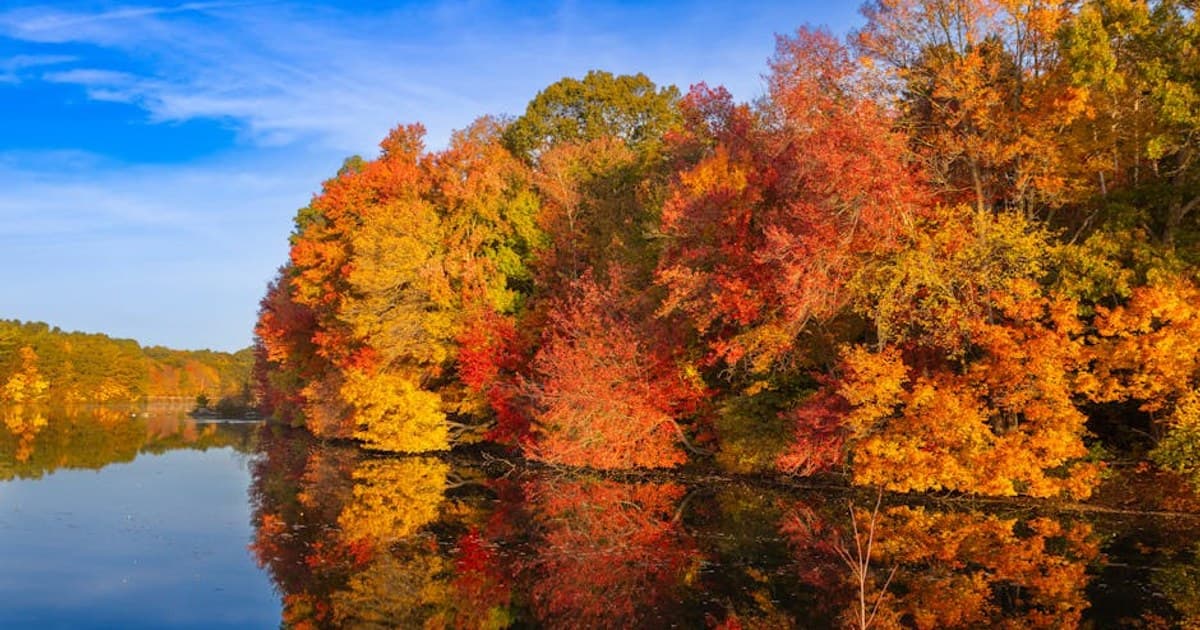 Cannabis and Epilepsy: How CBD Became an FDA-Approved Treatment