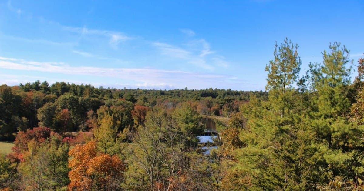 Cannabis for Cancer Patients: Managing Side Effects and Symptom Relief