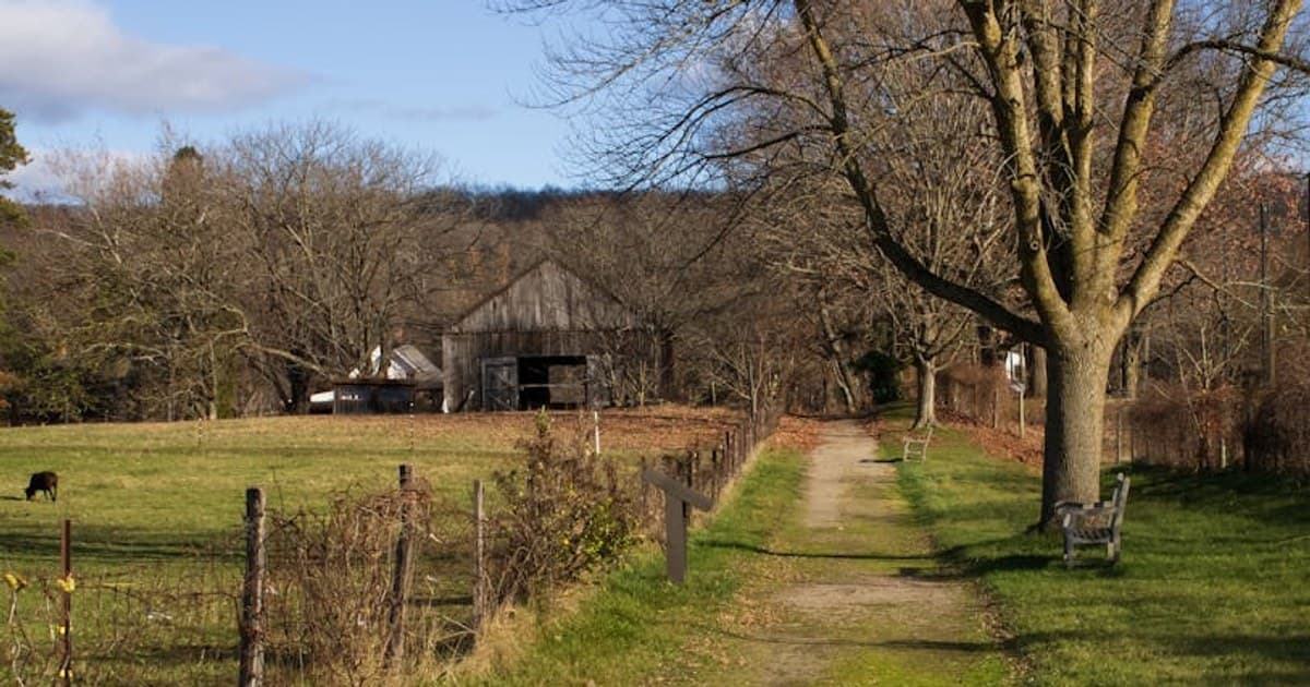 The 420 Origin Story: History, Culture, and the Modern Cannabis Holiday