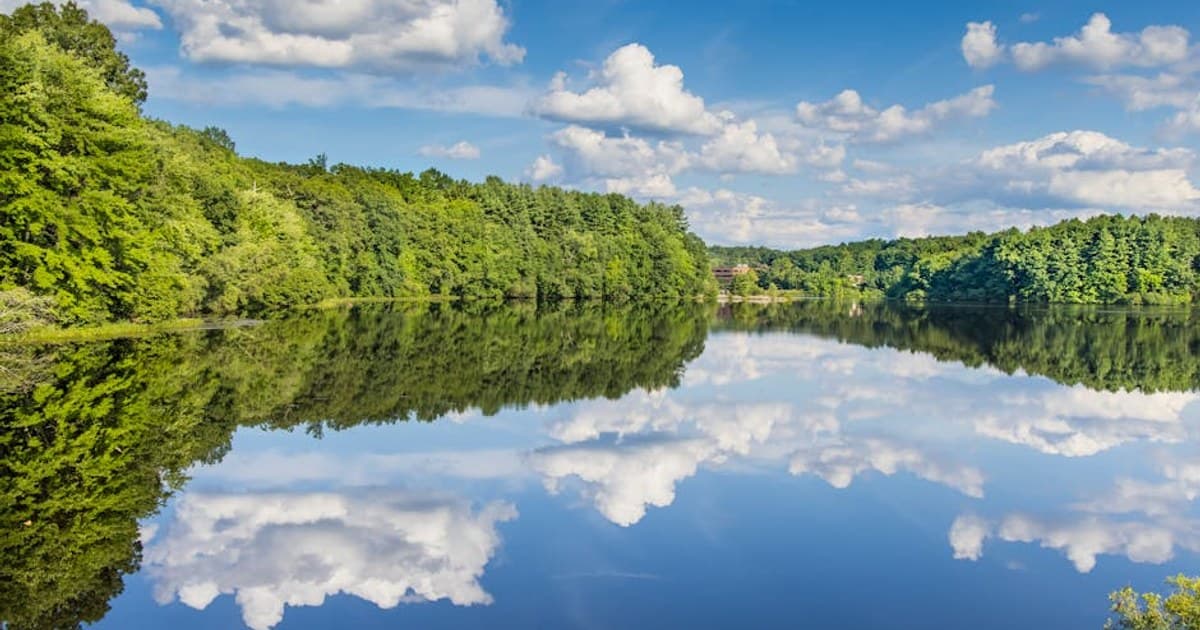 Cannabis and Creativity: What the Science Says About the Connection