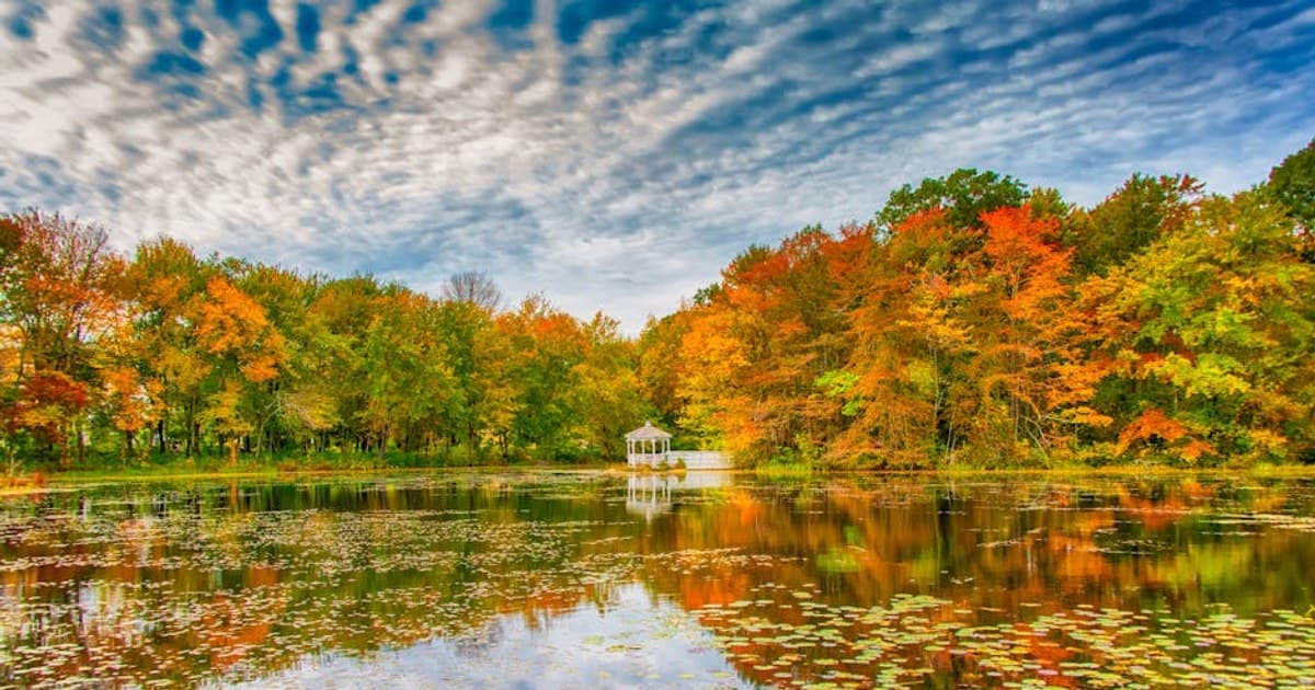 Cannabis Etiquette: The Unwritten Rules of Social Consumption