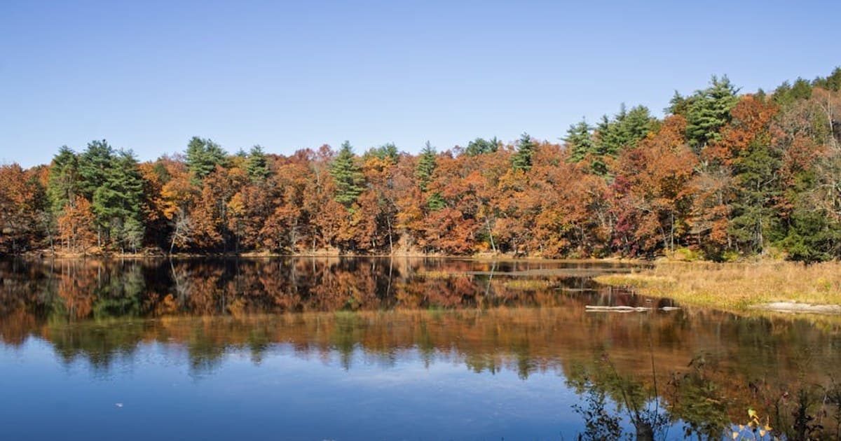 Understanding Cannabis Pricing: Why Costs Vary and How to Find Value