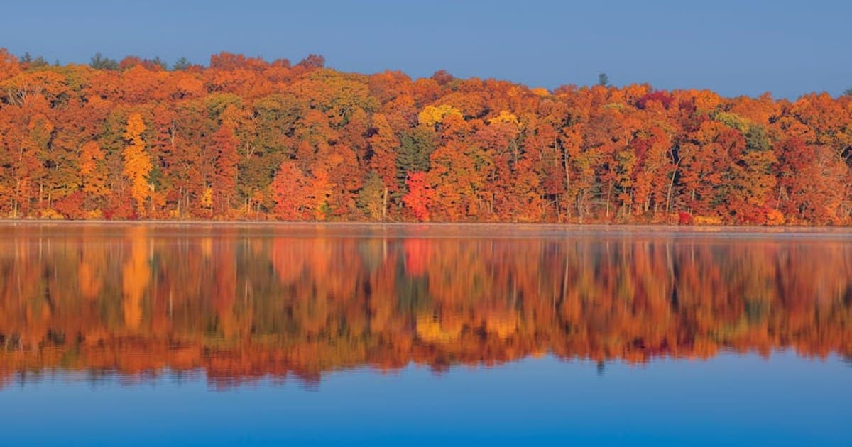 How to Choose Quality Cannabis Flower: What to Look For