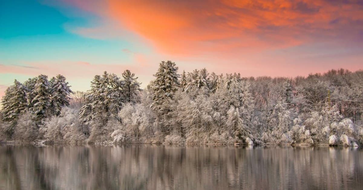 Medical vs. Recreational Dispensaries: Key Differences Explained