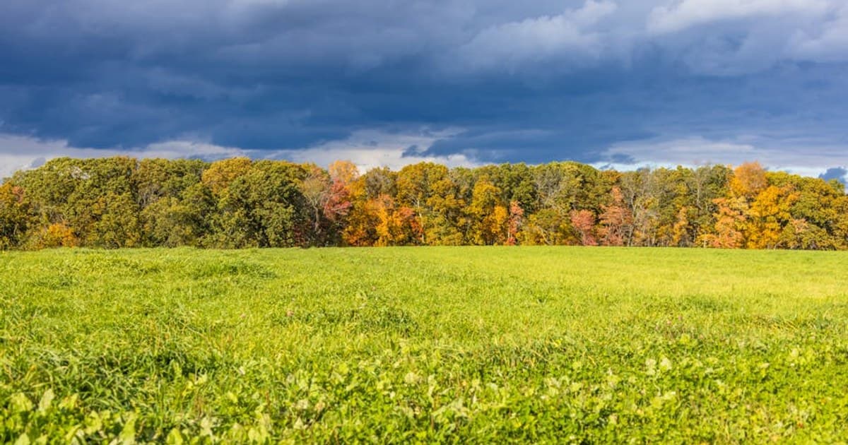 Social Equity in Cannabis: What It Means and Why It Matters
