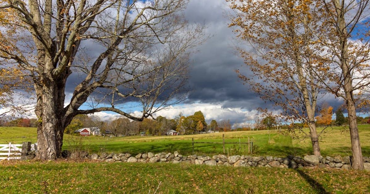 Cannabis and Travel: Can You Fly with Weed or Cross State Lines?