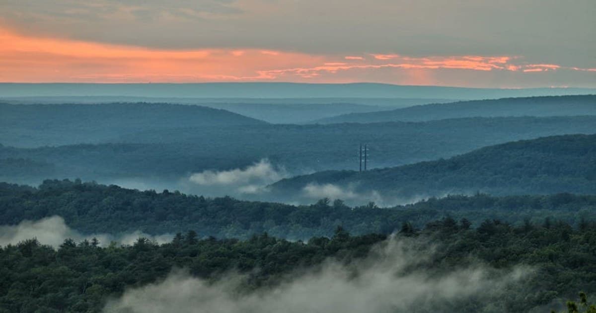 THCA Explained: What It Is and Why It's Trending