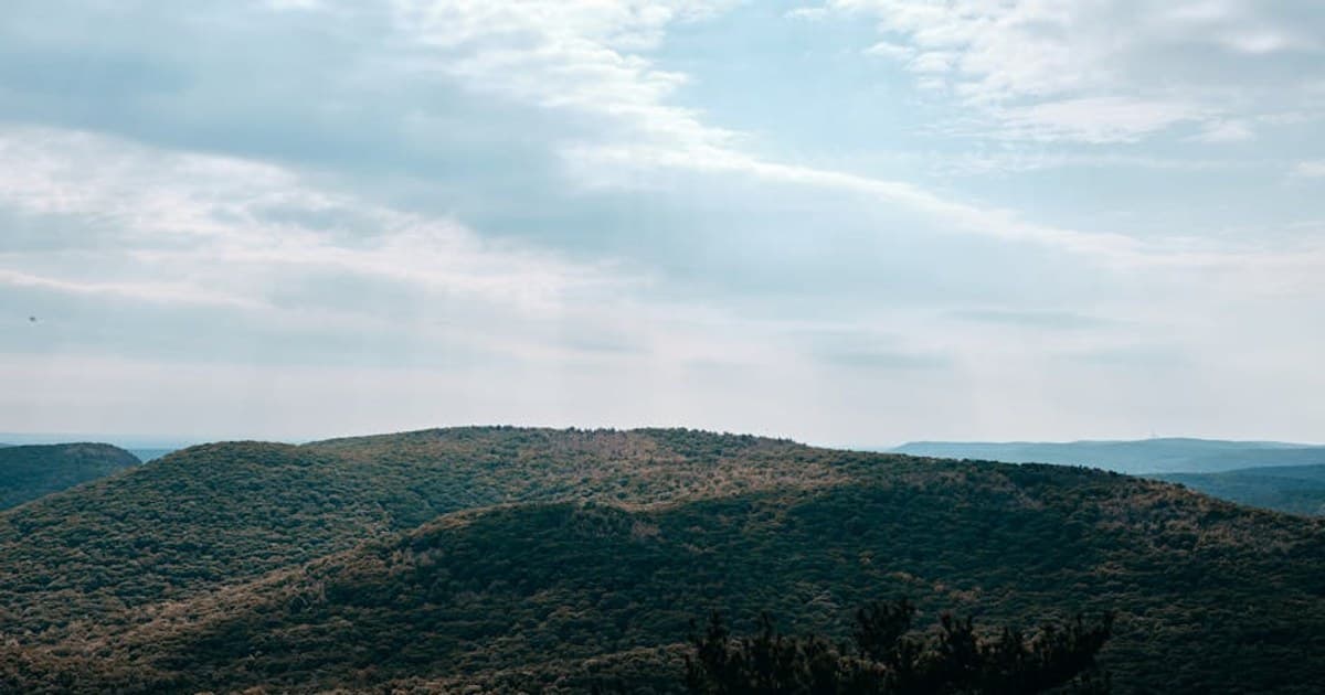 CBN for Sleep: Is It the Next Big Cannabinoid?