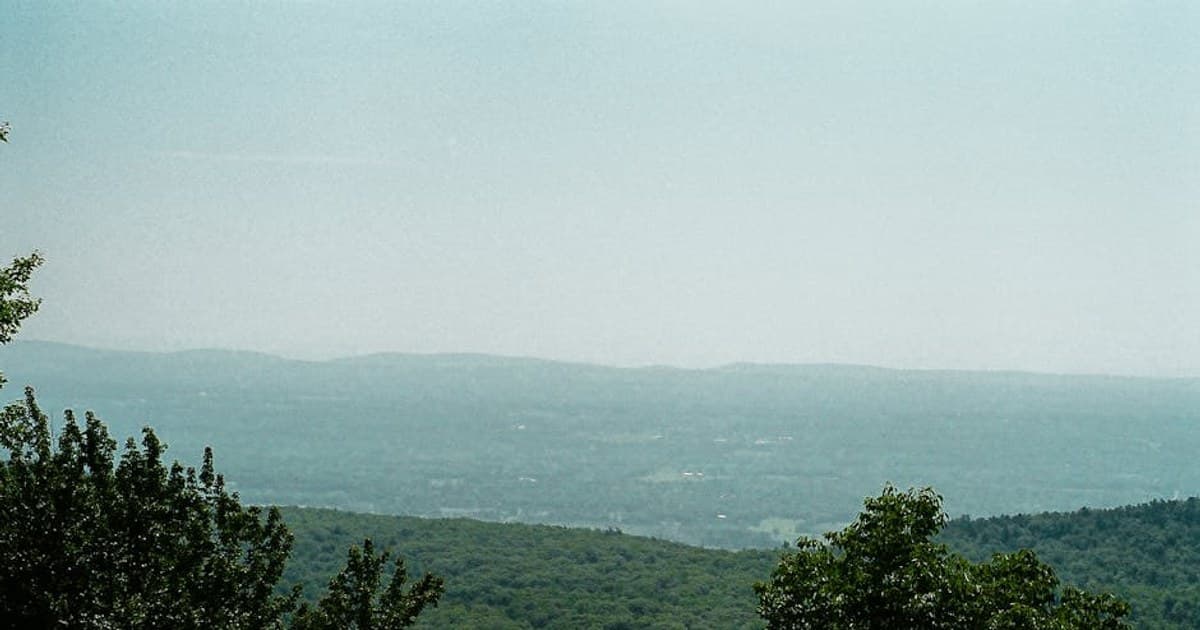 Cannabis and Weight Management: What the Research Reveals