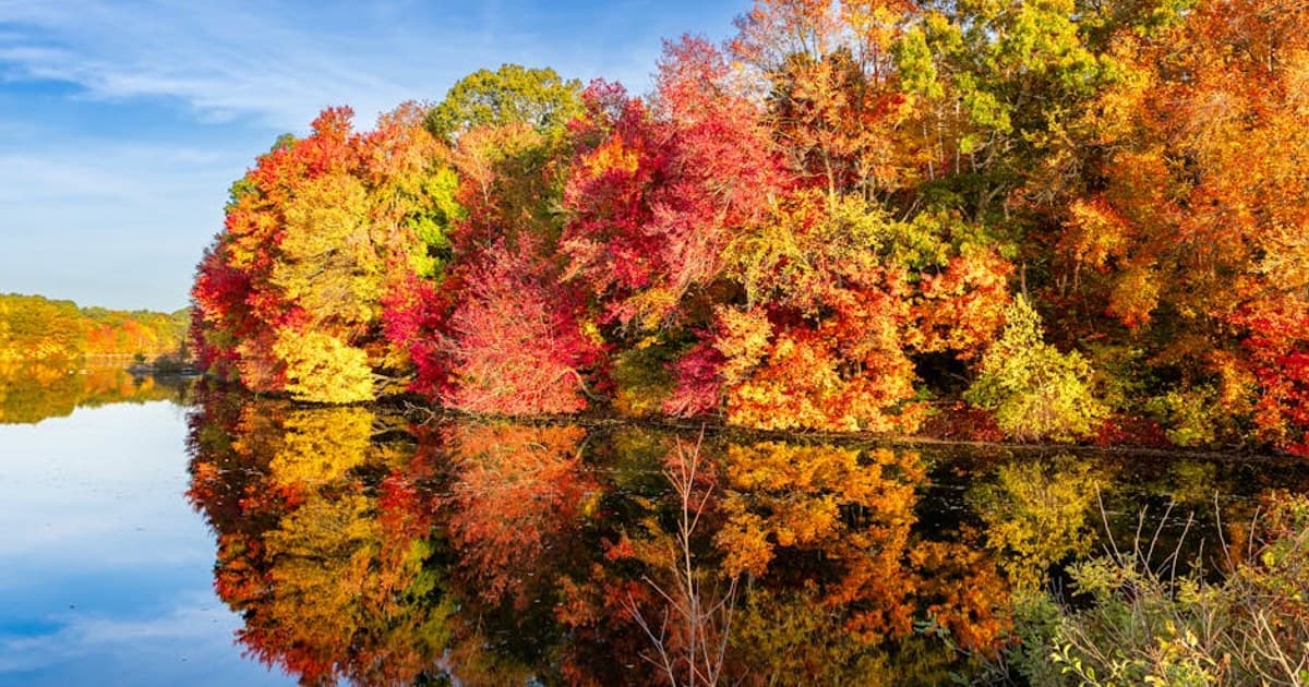 Cannabis for PTSD: Current Research and Patient Experiences