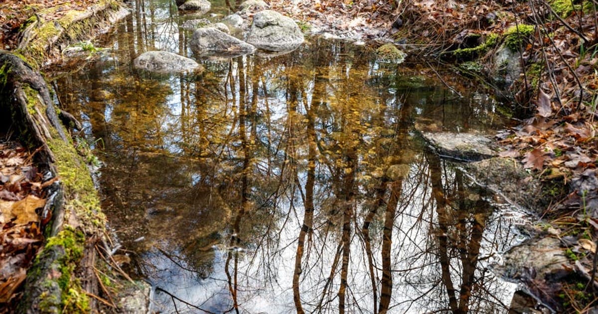 Cannabis and Exercise: Can It Help Your Workouts and Recovery?