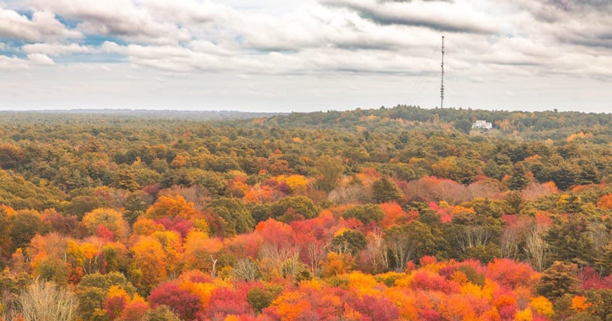 Cannabis vs. Alcohol: Health Comparisons and Harm Reduction