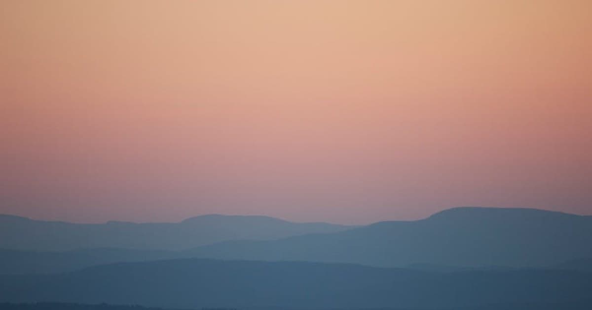 Cannabis for Inflammation: How Cannabinoids Interact with the Immune System