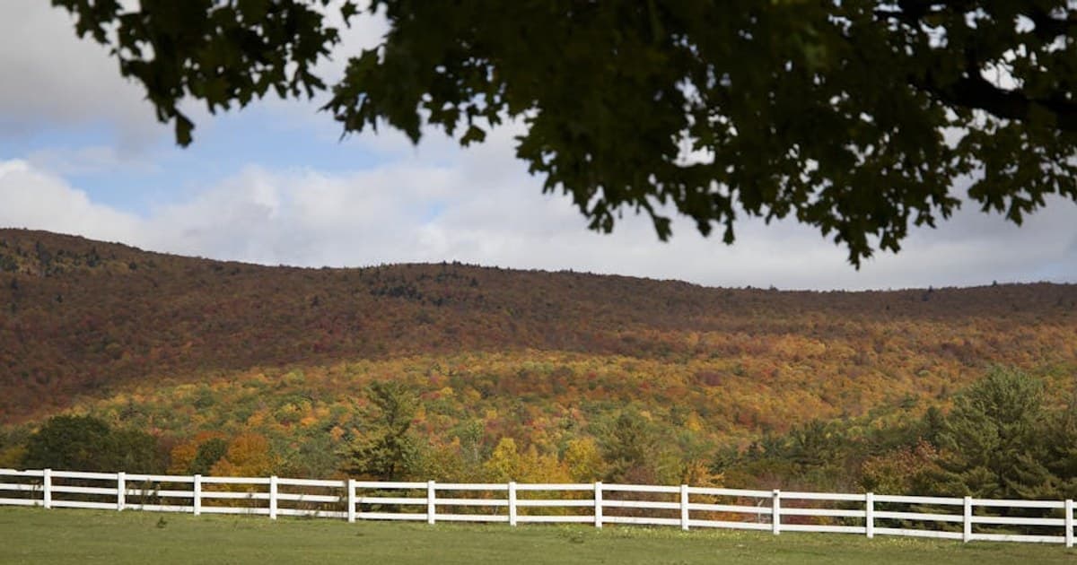 Cannabis and Driving: Laws, Risks, and What the Research Shows