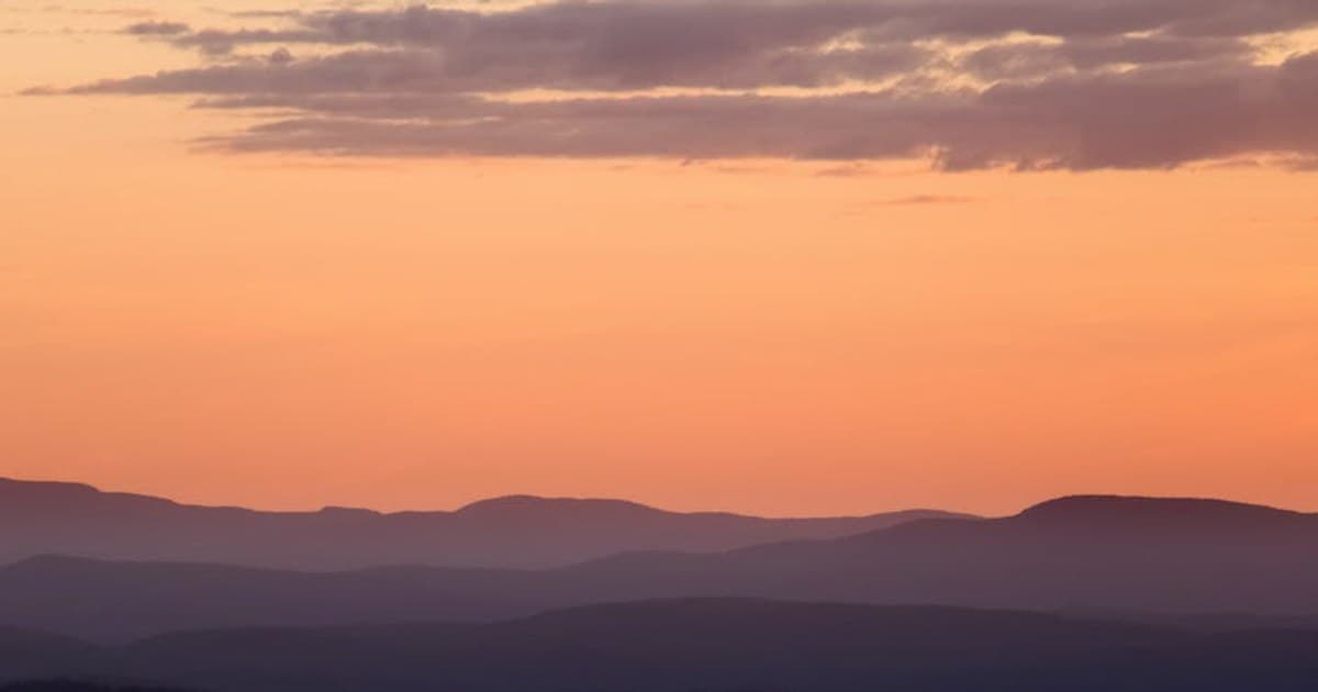 How to Read a Cannabis Product Label: Lab Results, Potency, and More