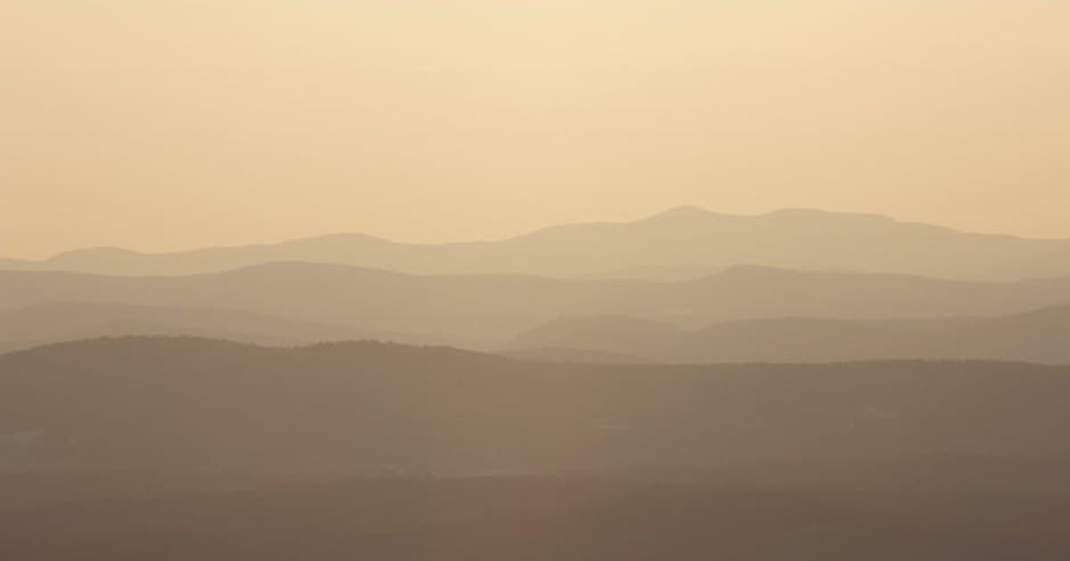 Cannabis and Drug Interactions: What to Know If You Take Medication