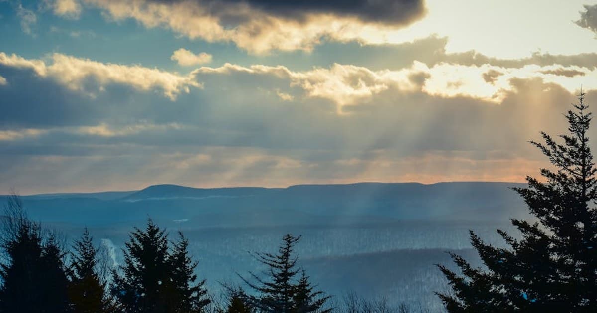 Cannabis Capsules and Softgels: A Discreet, Dose-Controlled Option