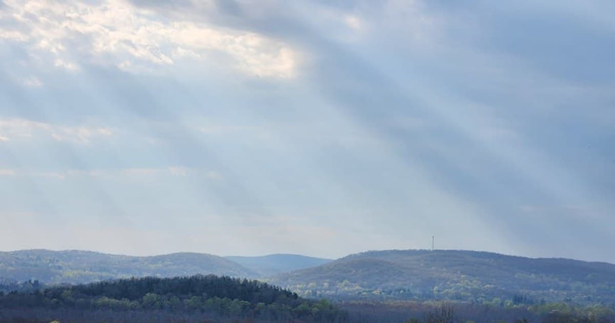 Pre-Rolls Explained: Why They're the Fastest-Growing Cannabis Category