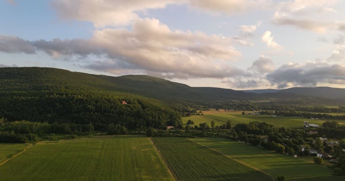 Cannabis Topicals: What They Are and How They Work for Pain and Skin Care