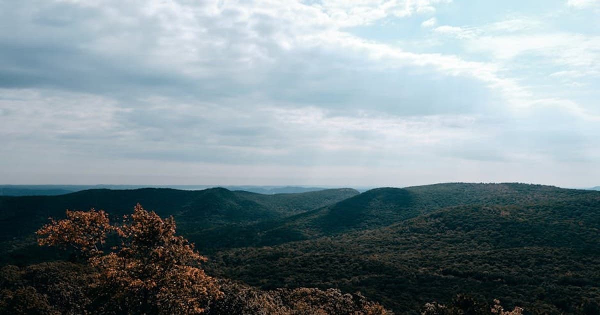 Cannabis Tinctures Explained: How to Use Them and Find the Right Dose