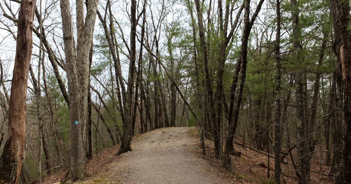 The History of Cannabis: From Ancient Medicine to Modern Legalization